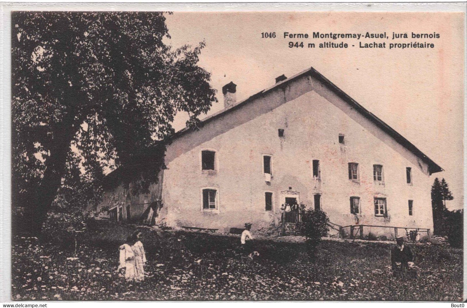 Cartoline postali: Asuel Ferme de Montgremay – Usato da Alle venduto da Bout0