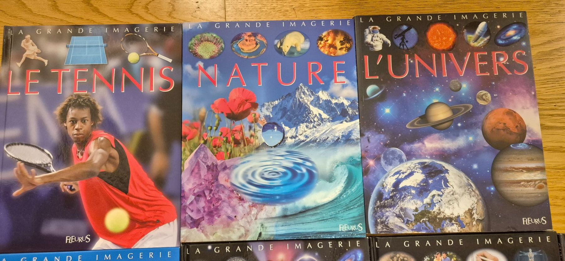 Libri: Livres collection Fleurus – Nuovo (secondo la descrizione) da Lausanne venduto da malimar3 1