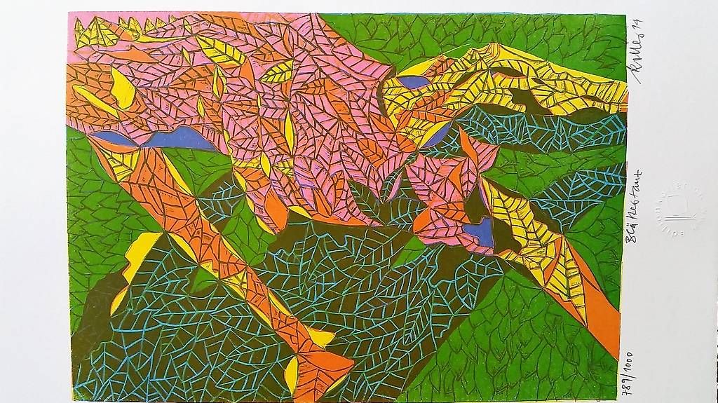 Grafica & Litografie: Lithographie – Usato da Bülach venduto da guslyt2007 2