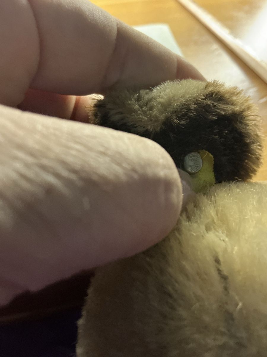 Steiff Giocattoli: Steiff Mopsy Nr.3322 – Usato da Basel venduto da S.Wehrli72 5