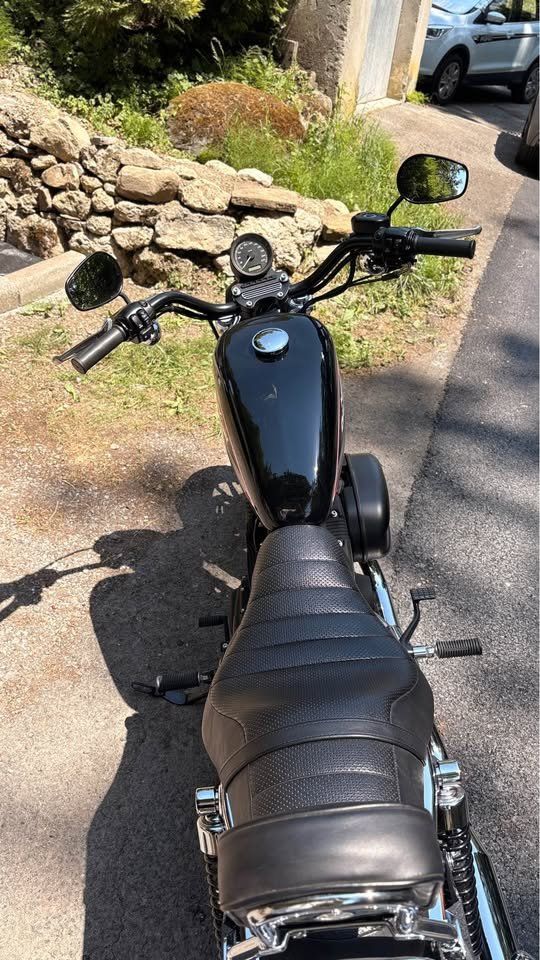 Harley-Davidson Cruisers: Harley Davidson 883R – D'occasion à Corsier-sur-Vevey par BussardS 5