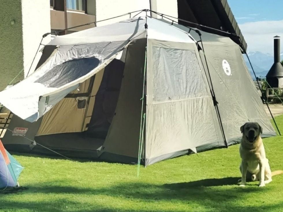 Coleman Instant Zelt für 4 Personen Kaufen auf Ricardo