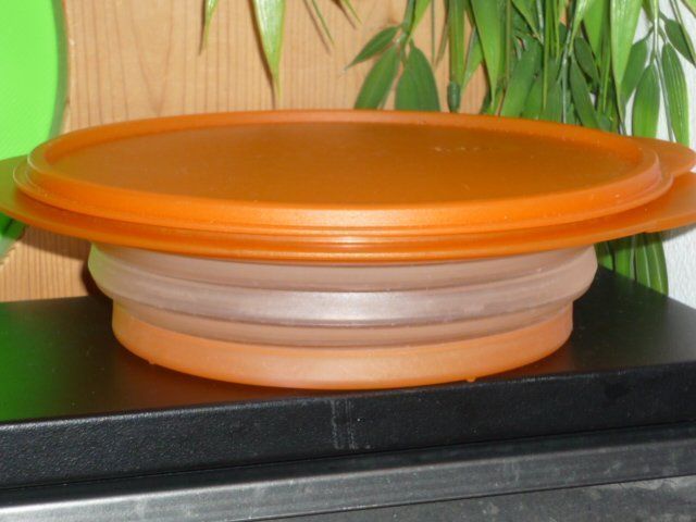 Tupperware Contenitori & Simili: TUPPERWARE 1,5 L. – Usato da St.Gallen venduto da Anso 2