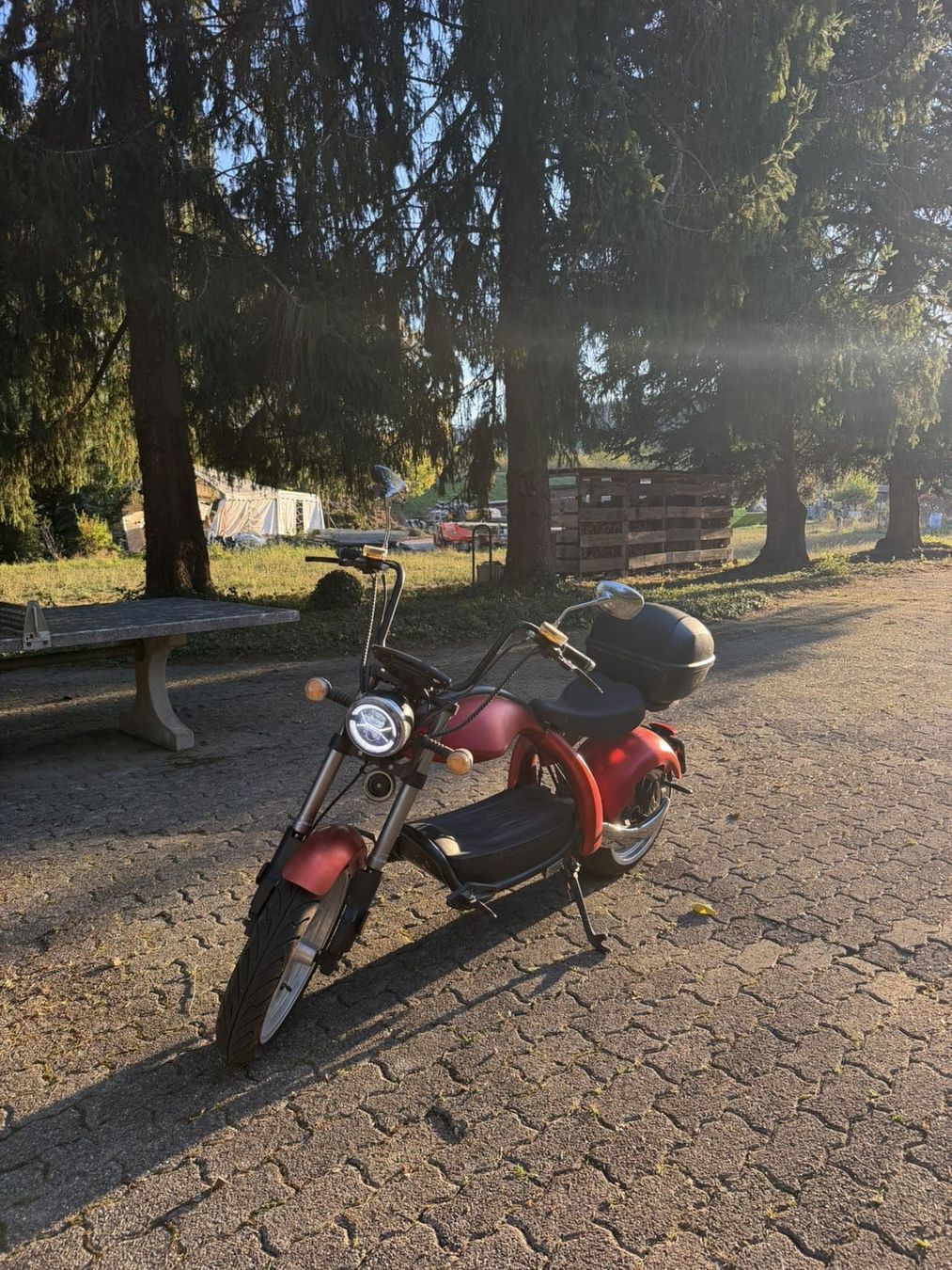 Citycoco Scooters: Dogebos M4 CityCoco E-Roller  – Gebraucht aus Embrach von nok84