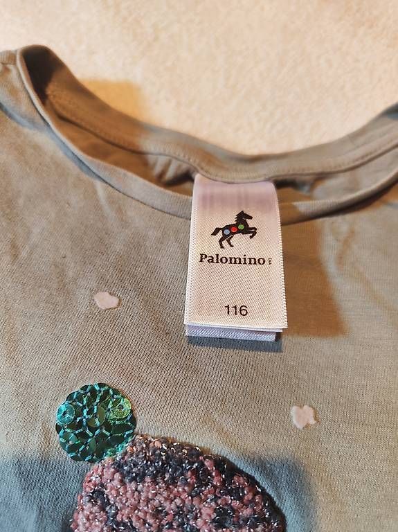 Pulls et sweat-shirts: Diverse Pullover Gr.116 – D'occasion à Zürich par aendiiii 3