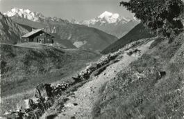 Golmenegg   VS  bei Riederalp       um 1962