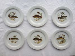 Langenthaler Fisch Teller 6 Stück Kult Design Top Zustand