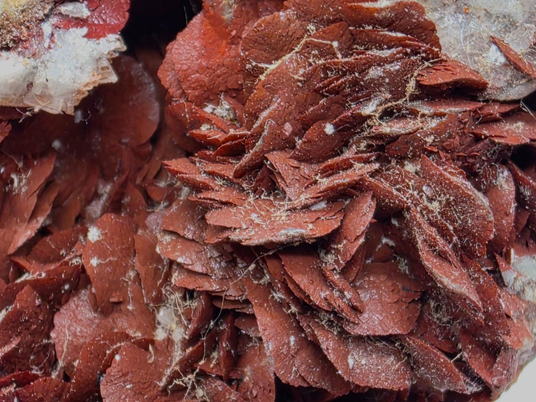 Minerali & Pietre curative: Elegant Siderite Barite , Brosso Mine Italy – Usato da Figino venduto da minshop