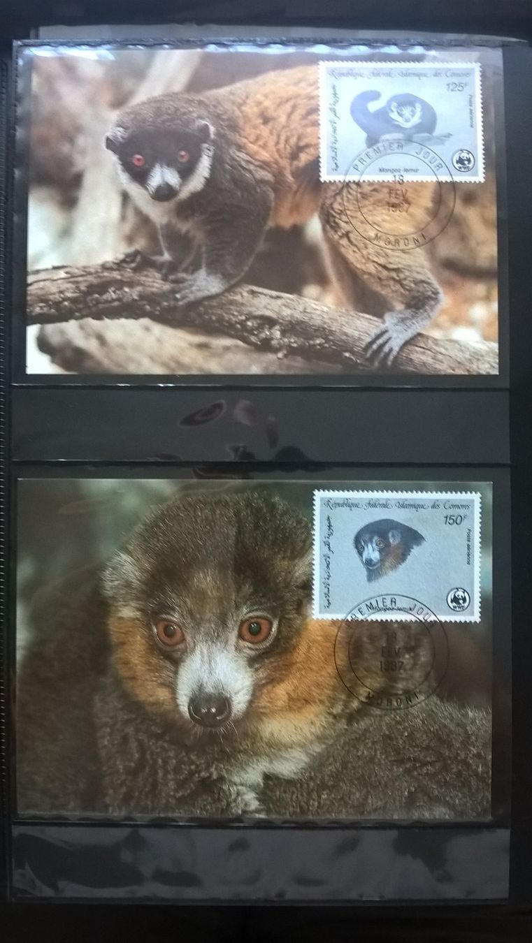 Tutti i francobolli: WWF Komoren 1987 Satz Mongozmaki Maximumkarten – Nuovo (secondo la descrizione) da Liestal venduto da schnueps 1