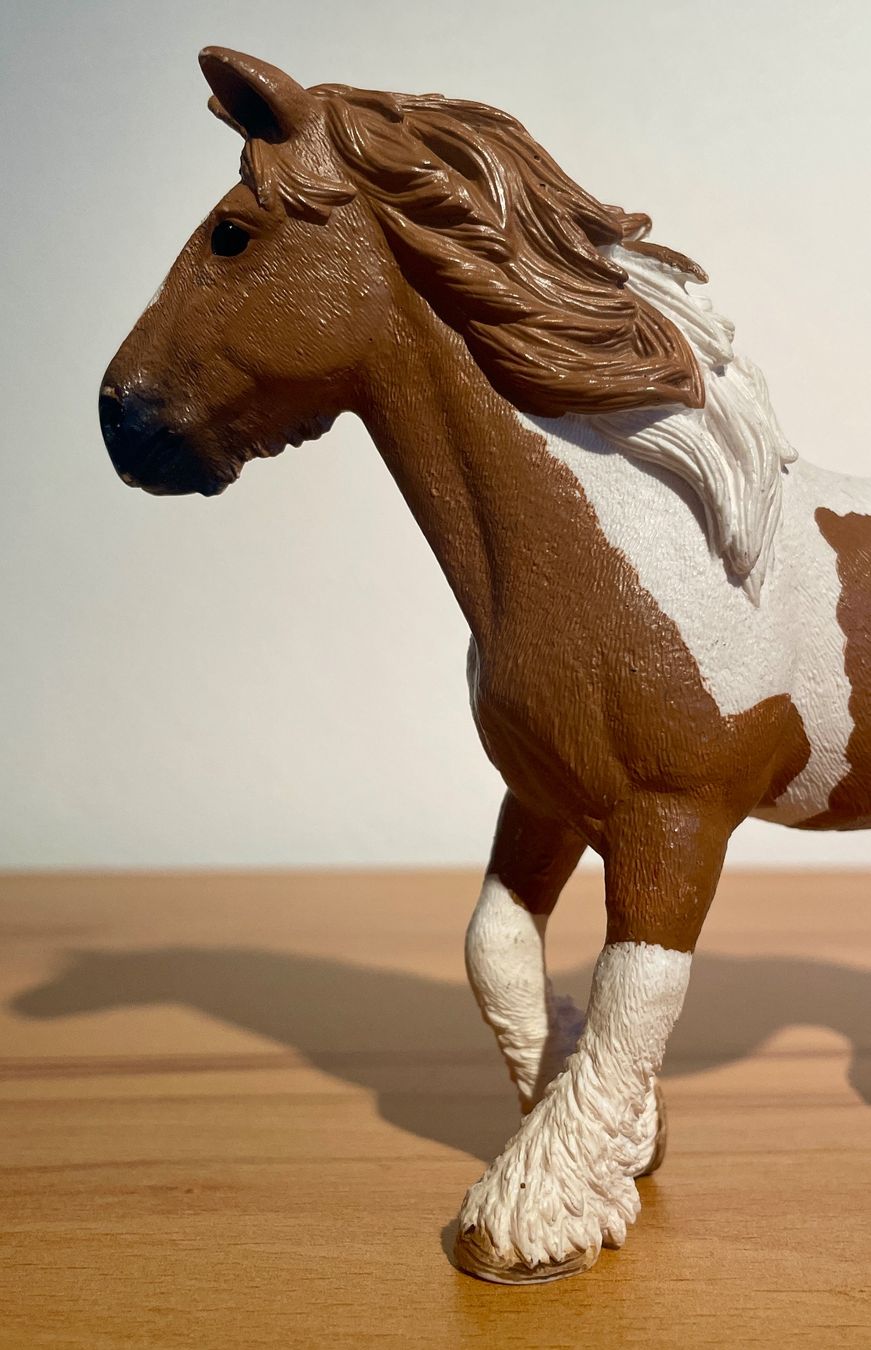 Schleich Giocattoli: Schleich 13773 - Farm World - Tinker Stute – Usato da Schöfflisdorf venduto da Soosie 4