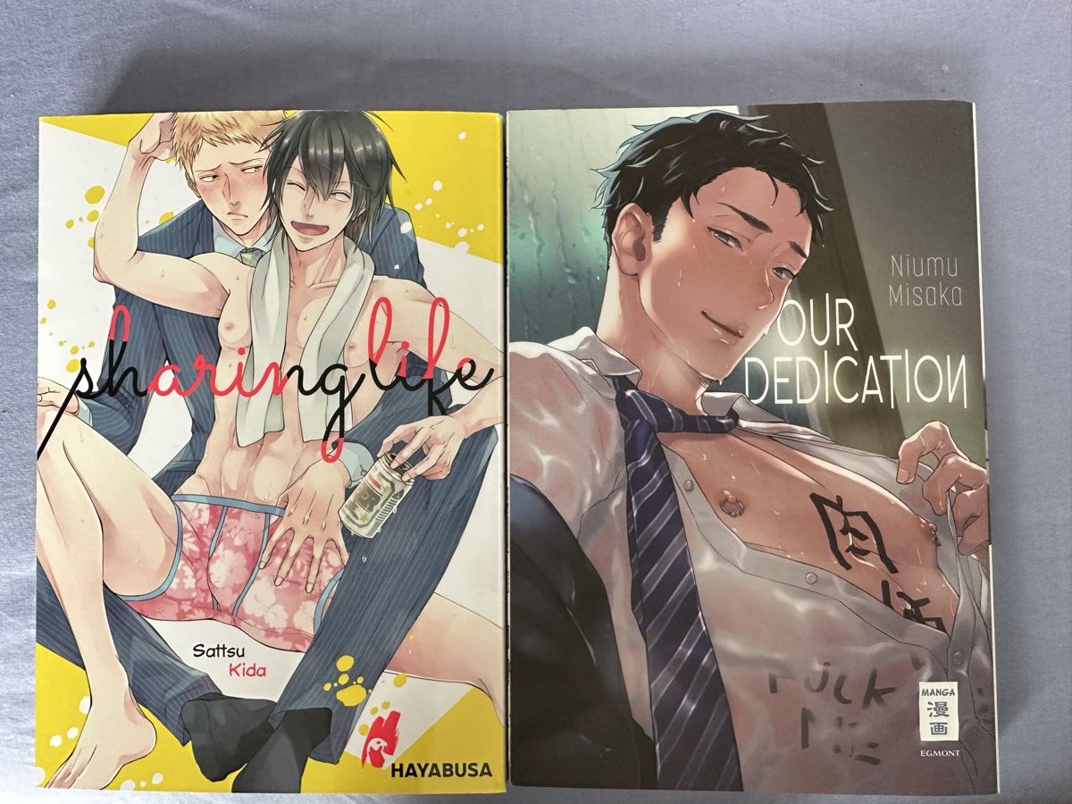 Fumetti: Boys Love Bundle: Sharing Life& Our Dedication – Usato da Schnottwil venduto da sml_29t8