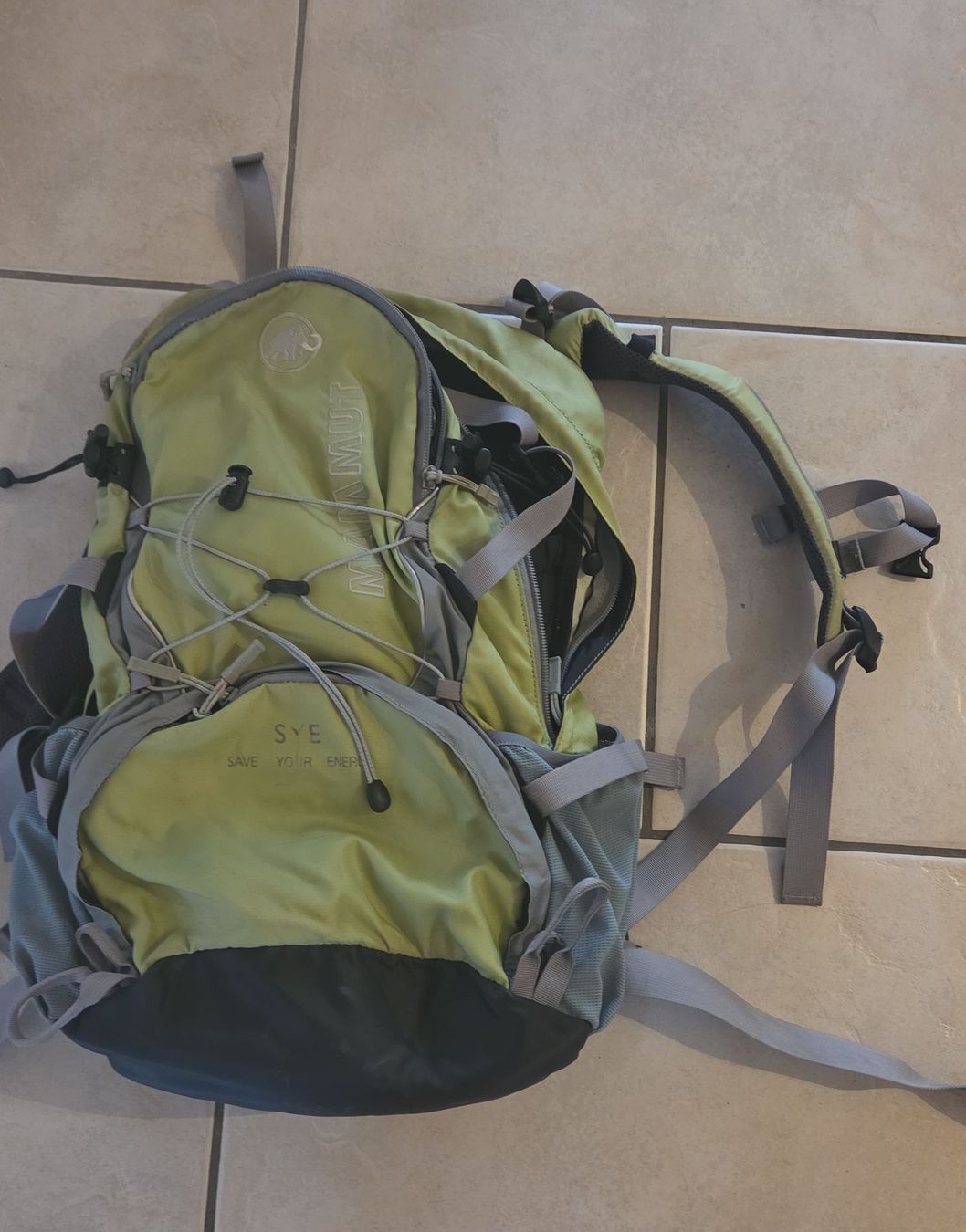 Mammut Zaini: Mammut Rucksack grün  – Usato da Selzach venduto da fam.pauli