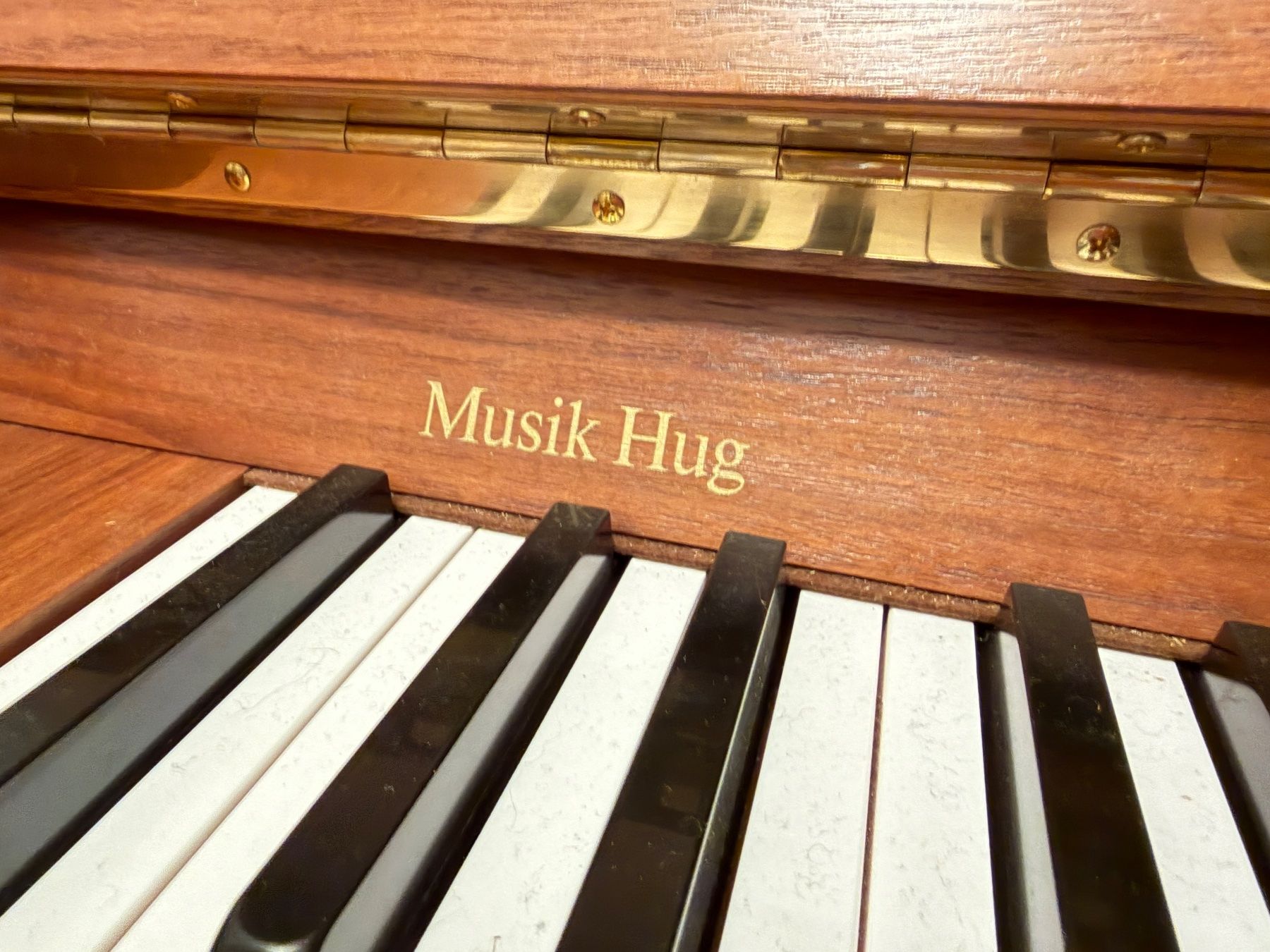 Yamaha Strumenti musicali: Klavier - Yamaha M1JR – Usato da Wetzikon ZH venduto da ren_9jt6 5