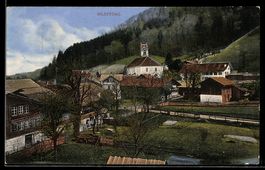 AK Wilderswil, Teilansicht der Ortschaft