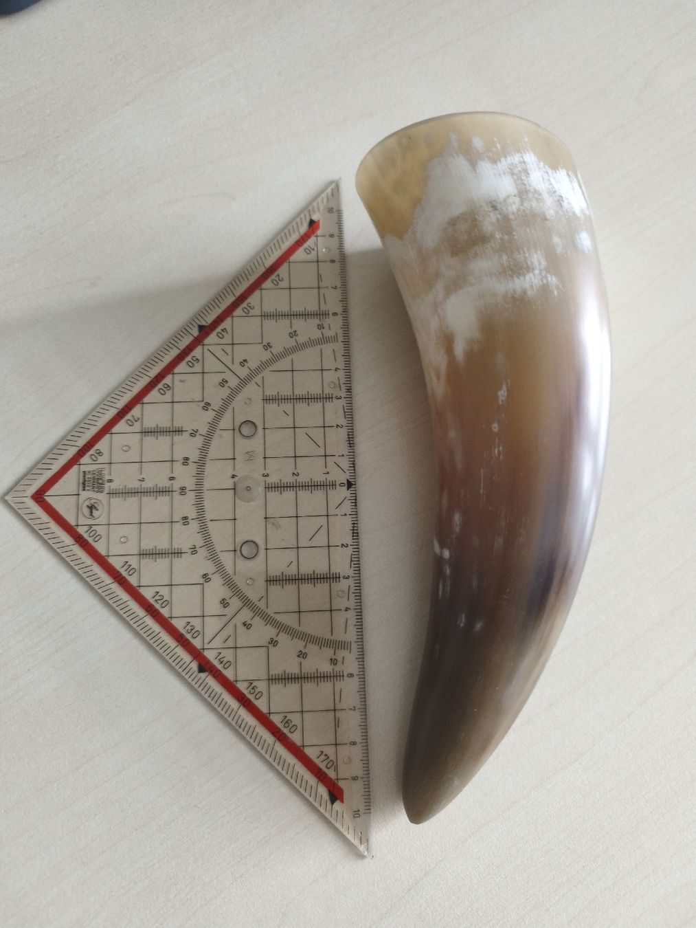 Tutte le decorazioni: Trinkhorn ca. 20cm – Usato da Untersiggenthal venduto da iknisleh 1