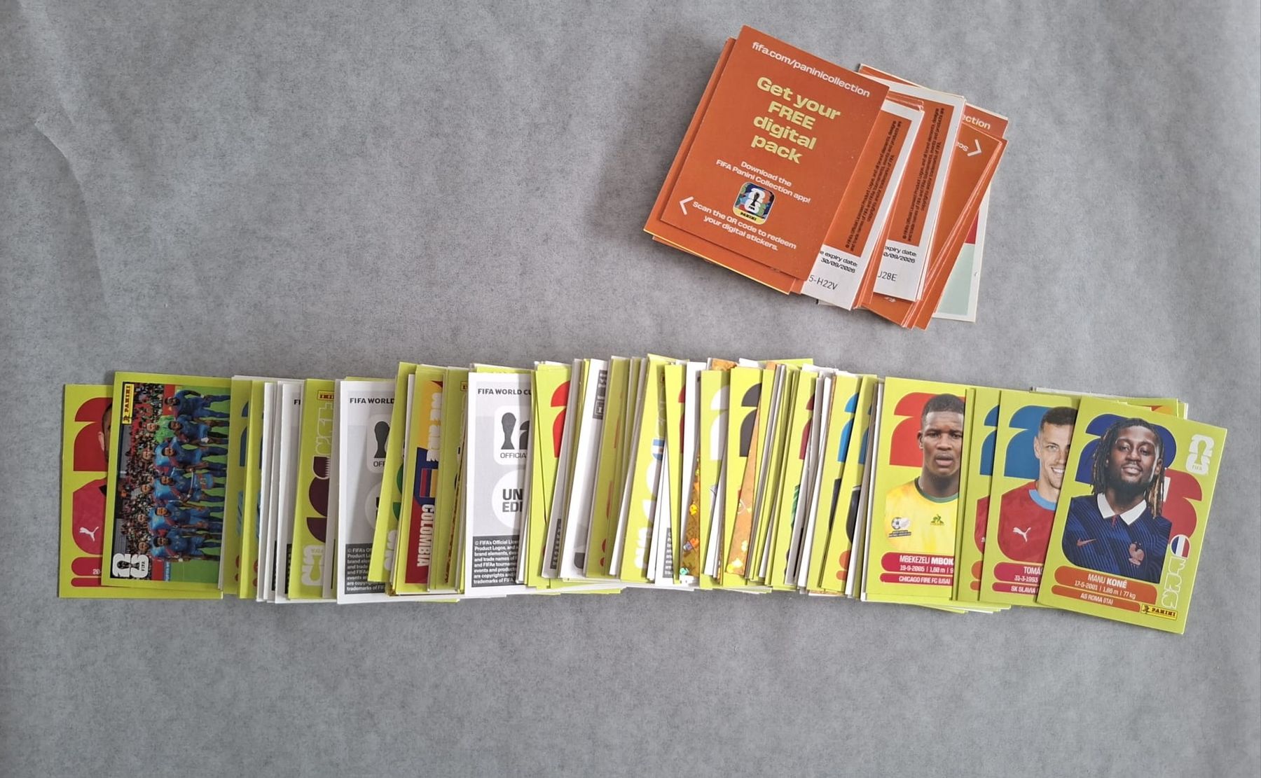 Panini Carte collezionabili: Bundle 220+ Stickers Panini World Cup 2026 + 30 Voucher Code – Nuovo e nell'imballaggio originale da Uvrier venduto da har_5k9n