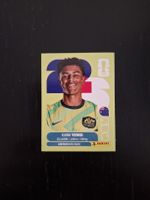 panini 2026 aus 18