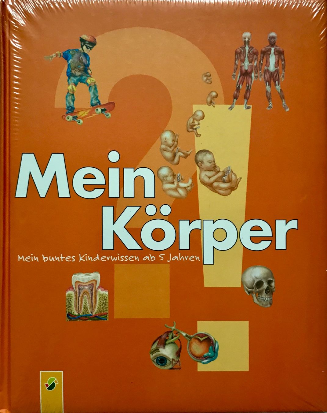 Bücher: Mein Körper – Gebraucht aus Sarnen von Livres