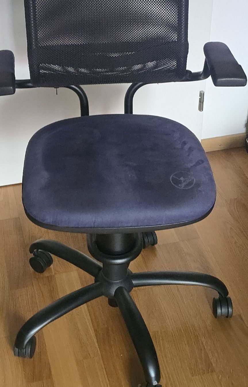Sedie: Chaise ergonomique Spinalis – Usato da Buchs SG venduto da Nitro0289 1