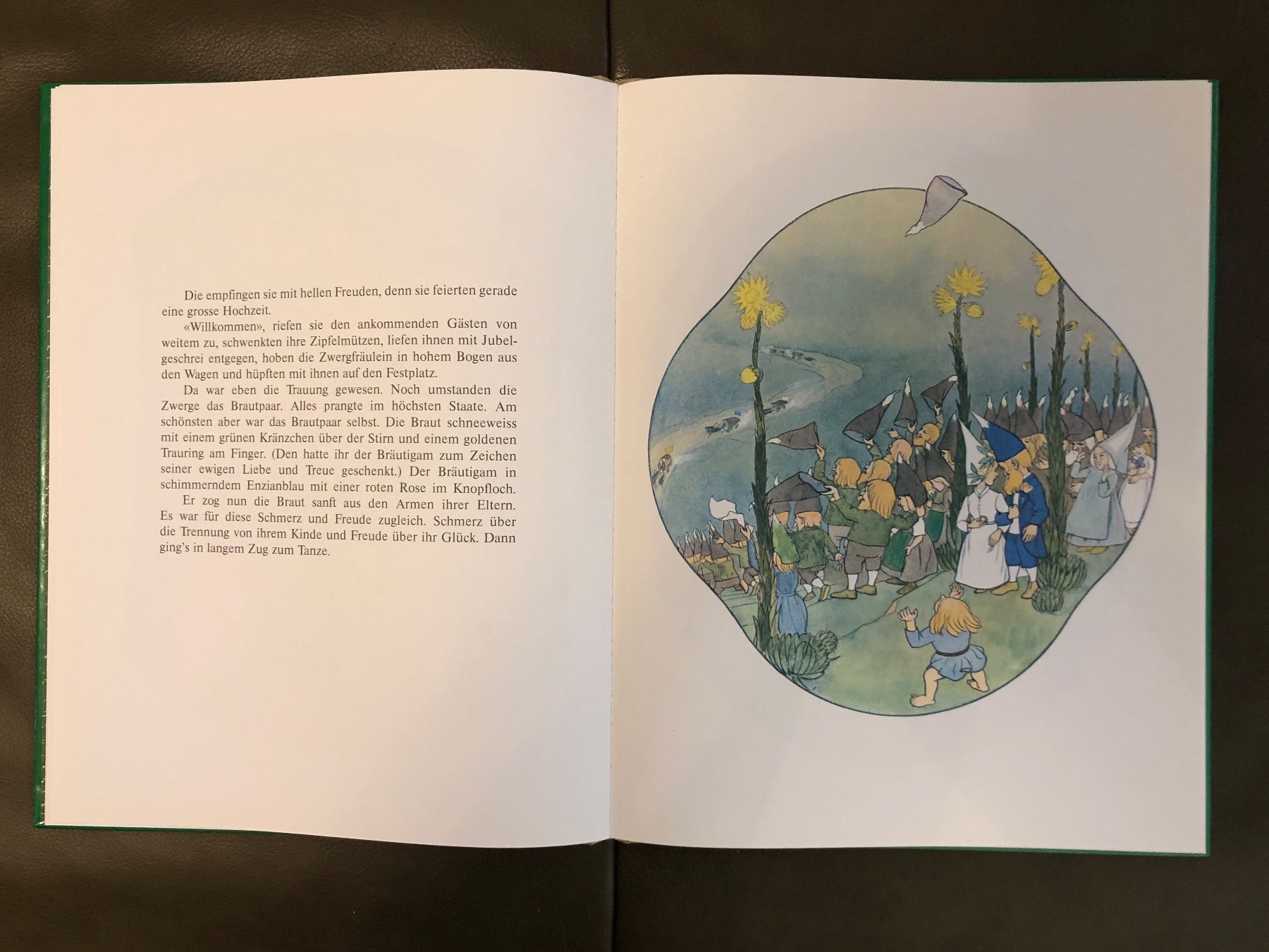 Libri: Buch Wiesenzwerge von E. Kreidolf – Usato da Nunningen venduto da anclaudia 3