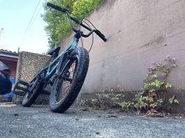 Kink BMX Kinder