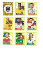 Panini WM 2026