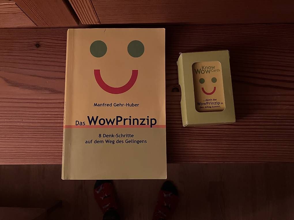 Libri: Wow Prinzip von Manfred gehr – Usato da Eschlikon TG venduto da ritschi90