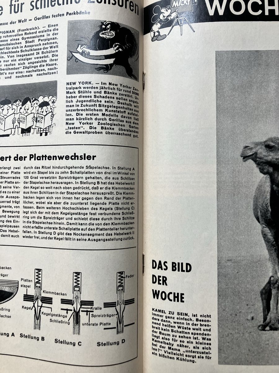 Fumetti: Micky Maus 1964, Heft 9 – Usato da Andwil SG venduto da Kaltbrunner 3