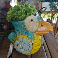 Papagie Vase od.Pflanzentöpfli/ Keramik