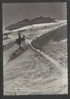 FLUMSERBERG Abfahrt vom Matchenkamm (Arve)  um 1940  (N