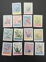 Moluken  Orchideen/Blumen 1954     ** (5134)