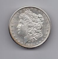 (294) USA, 1 Dollar 1880 S, Morgan, top stgl