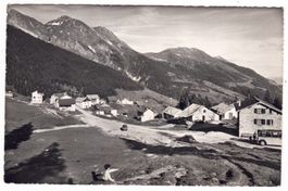 Cari, P.Molare