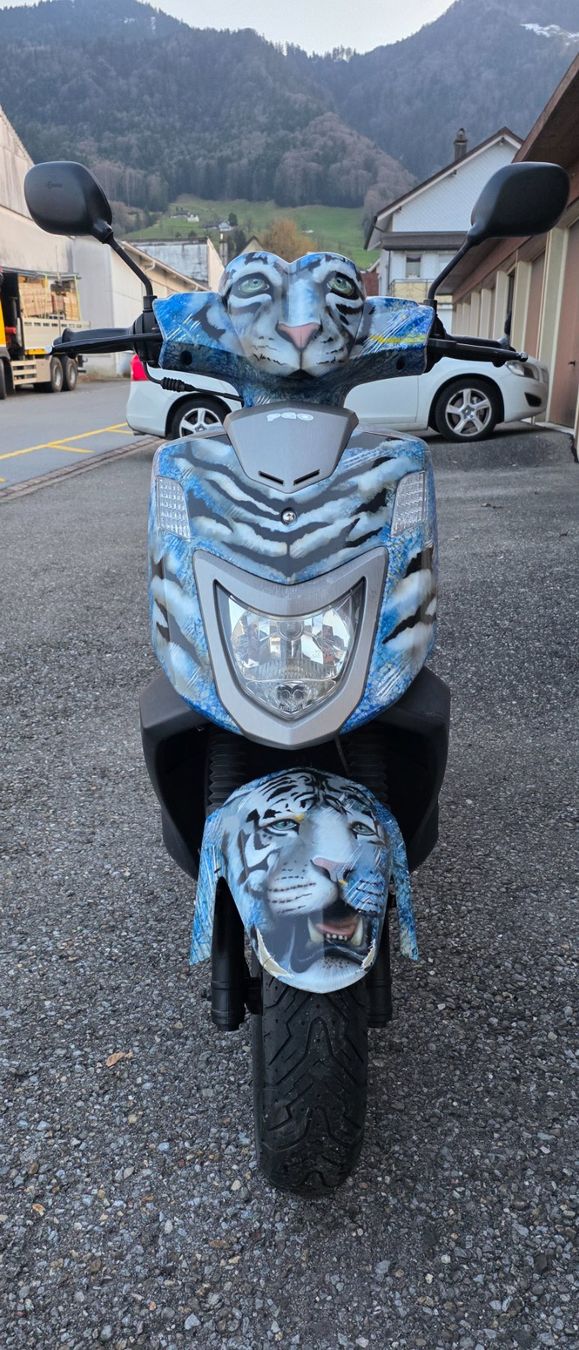 Pgo Scooters: PGO Libra 50 – D'occasion à Reichenburg par Daniel57
