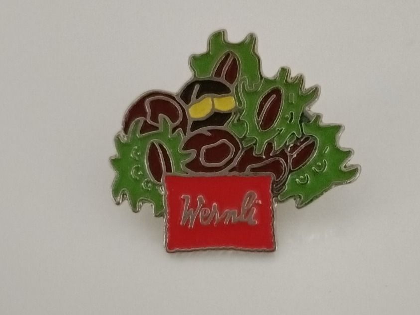 Placchette & Badge: Pin Wernli - Box 7 – Usato da Köniz venduto da Pinscollect