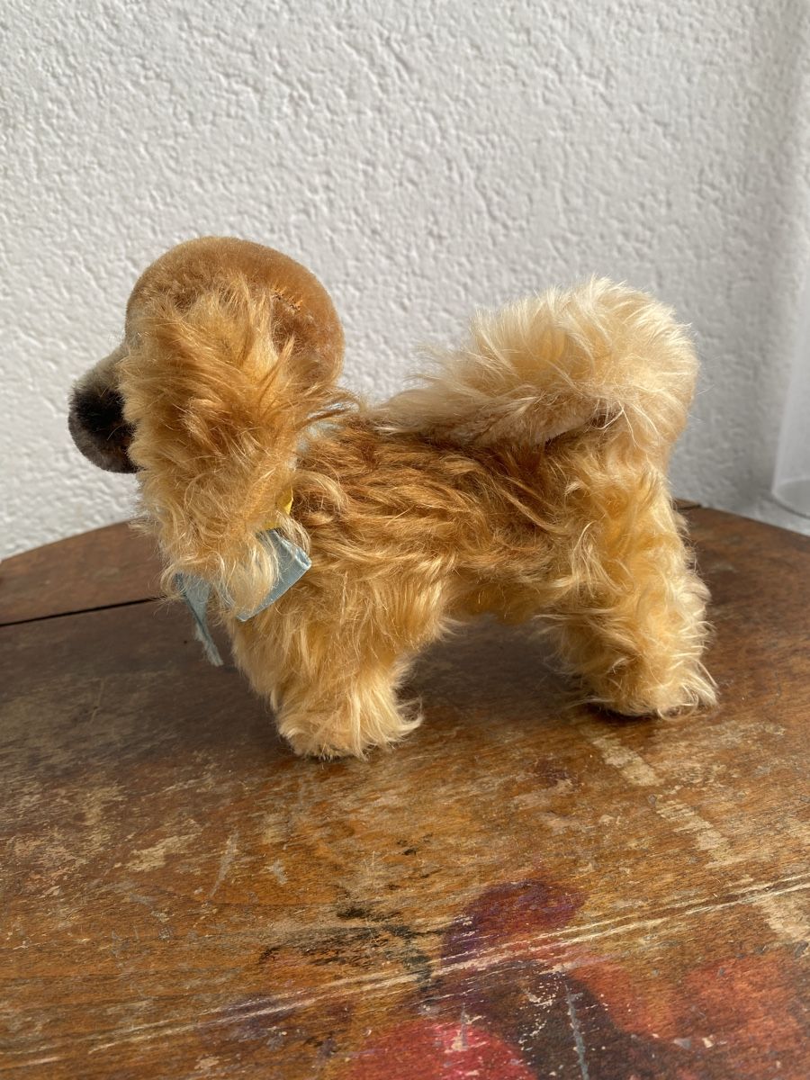 Steiff Giocattoli: Vintage Steiff, Hund, Stofftier – Usato da Zuchwil venduto da Niranada 4
