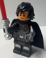 LEGO Star Wars Darth Dev (sw1366)