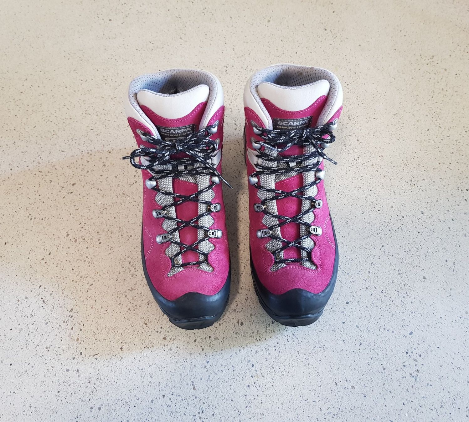 Scarpa Scarpe da uomo: Scarpa GTX Wanderschuh Grösse 39 – Usato da Basel venduto da fafa68 1