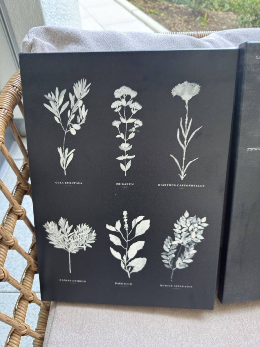 Poster & Bilder: IKEA Wandbilder 38 × 28 cm – Gebraucht aus Sins von sum_lv6d 2