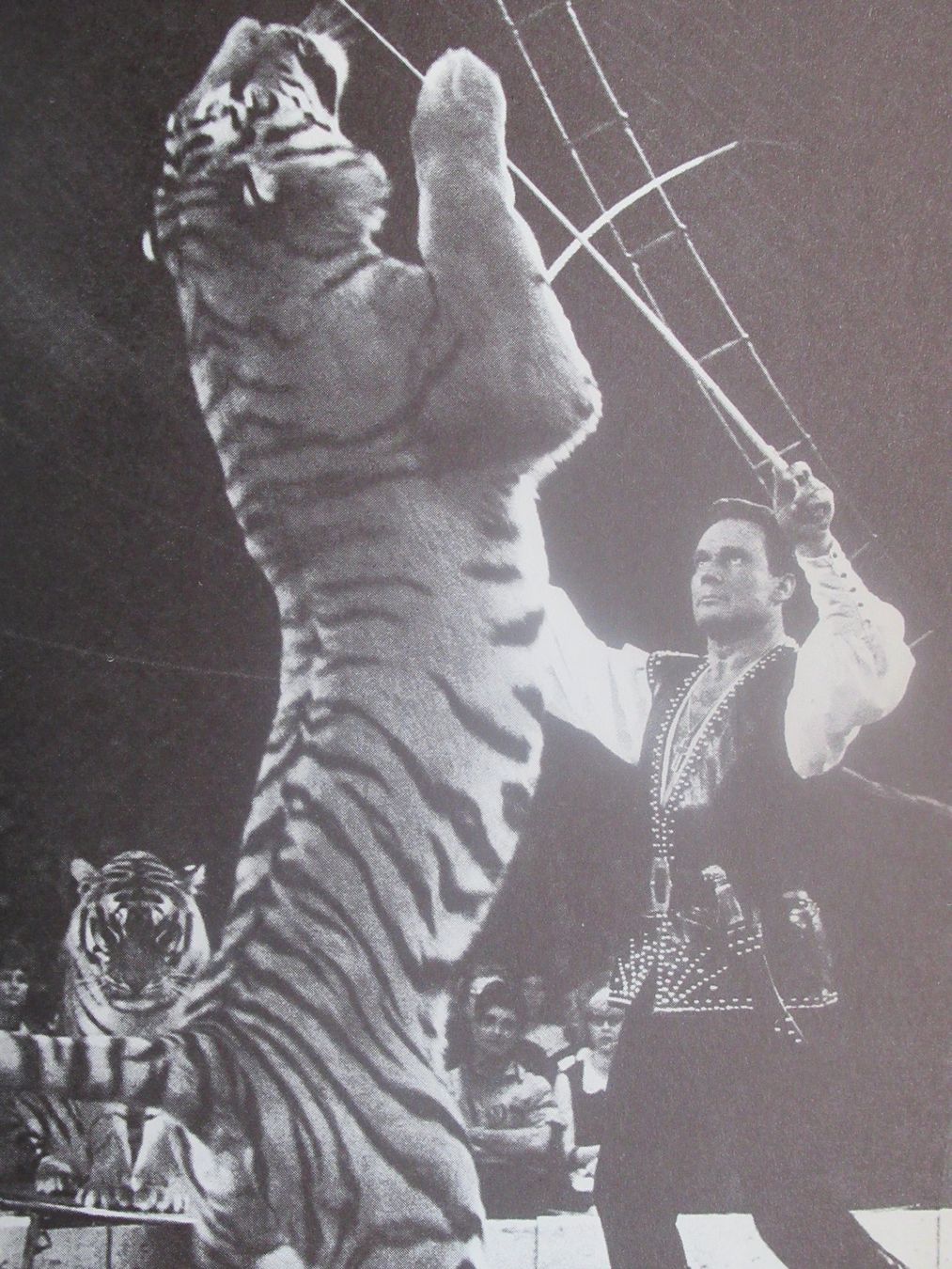 Bücher: CIRCUS KNIE - DIE GESCHICHTE EINER CIRCUS DYNASTIE – Gebraucht aus Moosseedorf von haro01 2