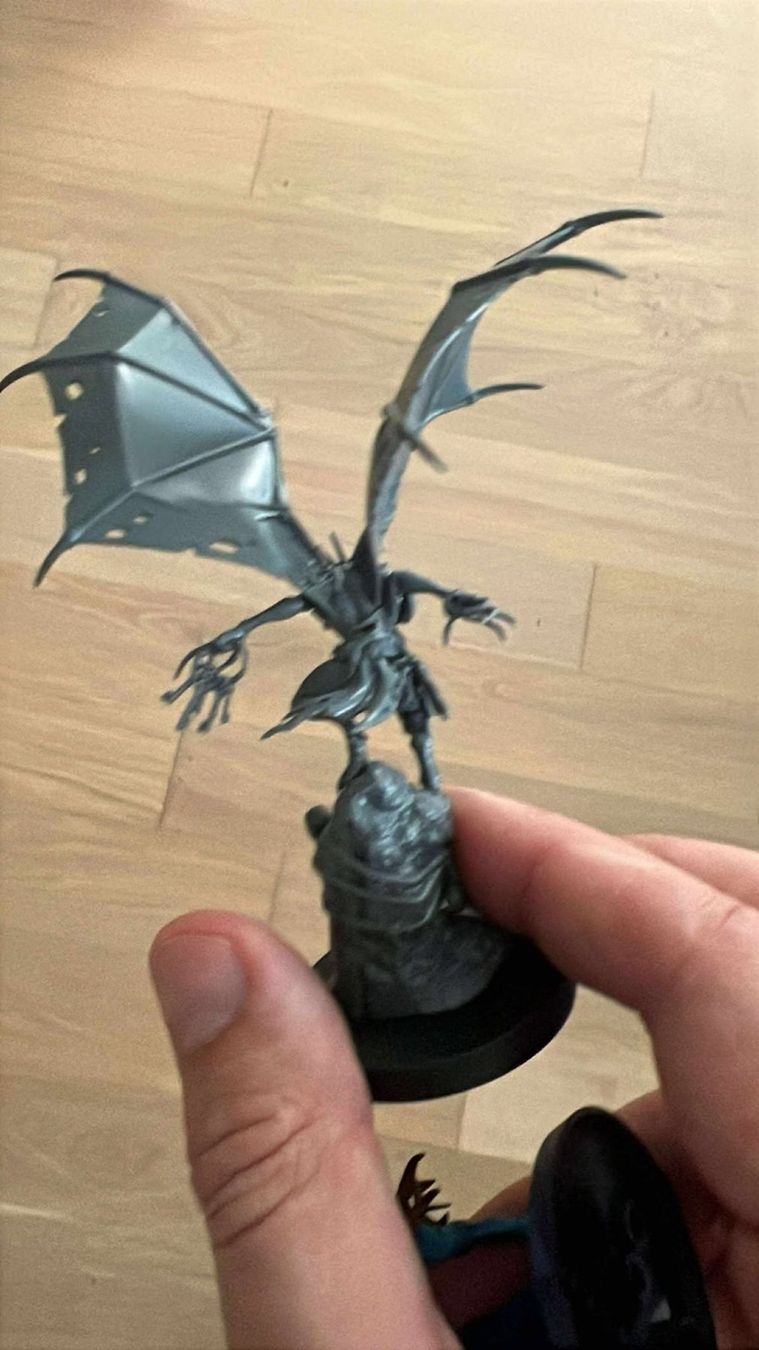Kit di modellismo & Modellini statici: Age of Sigmar - Abhorrant Gorewarden – Usato da Schlieren venduto da Oliver.Wyszkowski 1