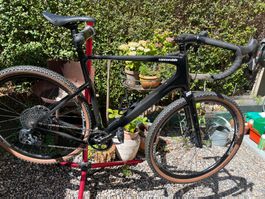 Gravel Topstone Carbon Apex, Grösse XL, elektr. Schaltwerk