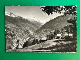 Mayens de Sion - pâturage de la Sarre