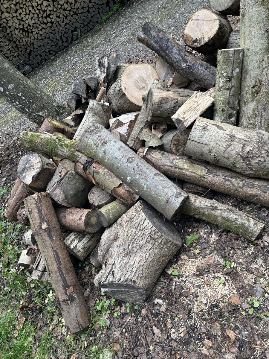 Articles en bois: Brennholz Abschnitte – D'occasion à Wil SG par mario.wick 1