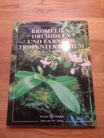Bromelien, Orchideen und Farne im Tropenterrarium