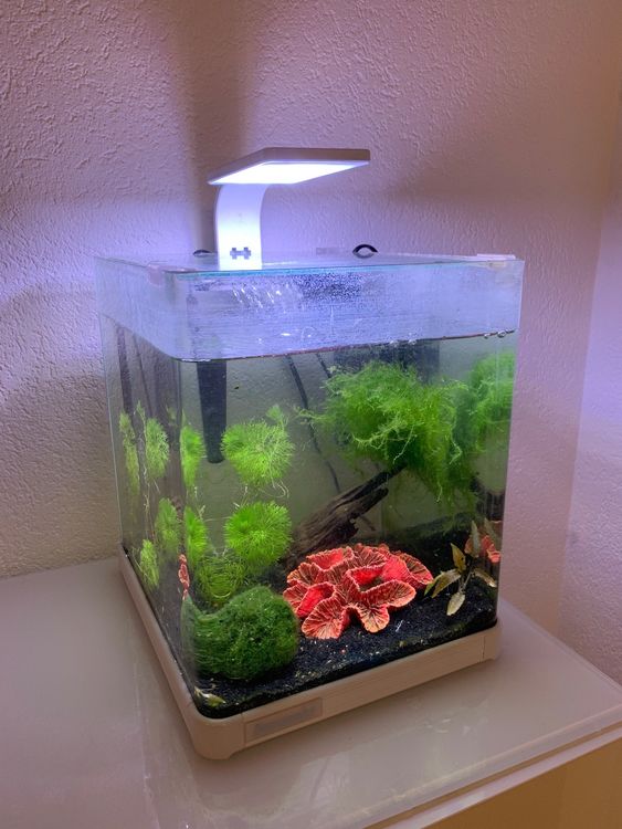 20l Nano Aquarium mit allem drum und dran. | Kaufen auf Ricardo