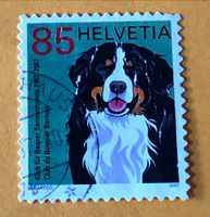 Nr.1227 Berner Sennenhund GESTEMPELT Sondermarken 2007   