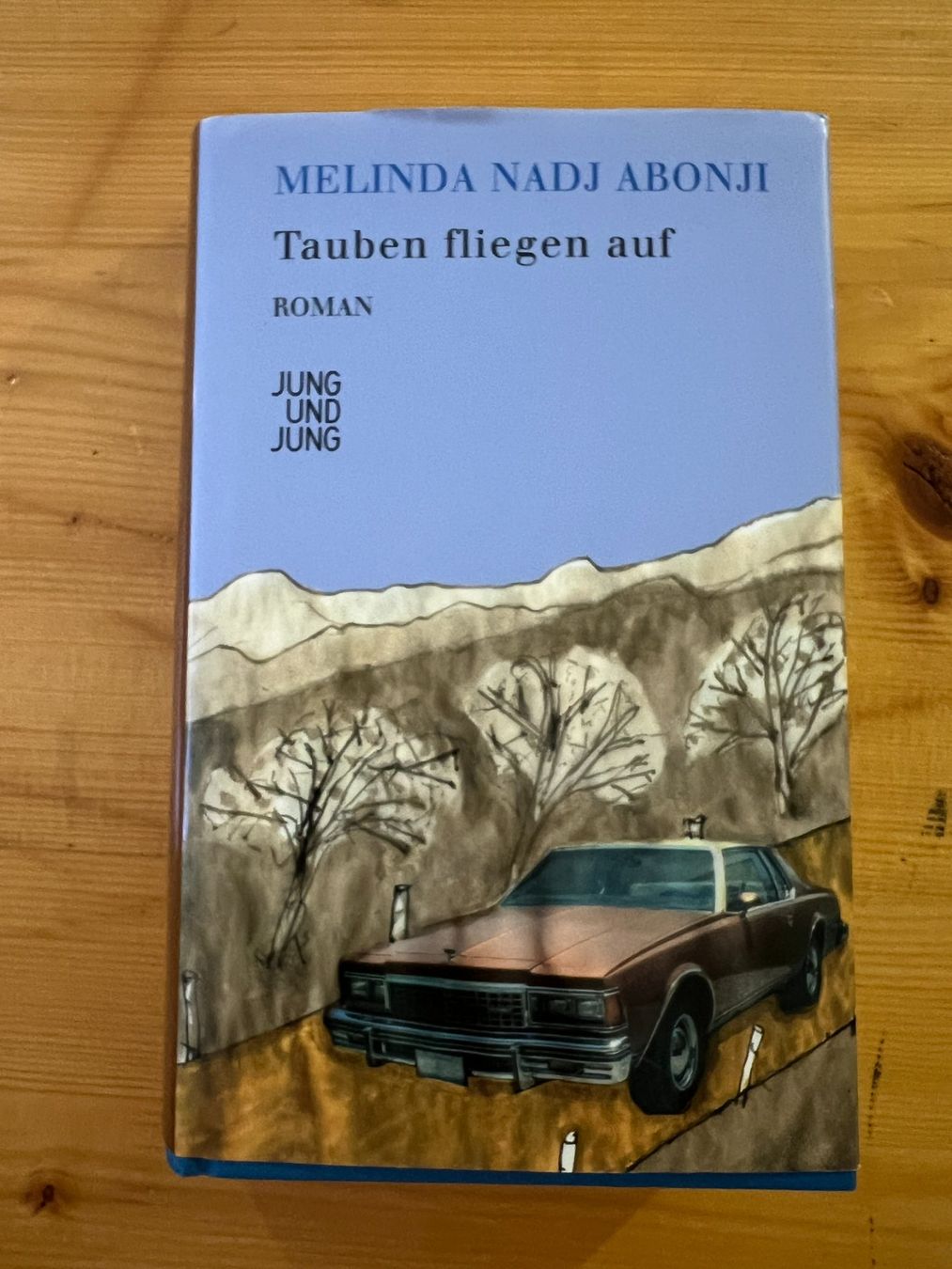 Libri: Buch "Tauben fliegen auf" – Usato da Widen venduto da MerlinMim2004