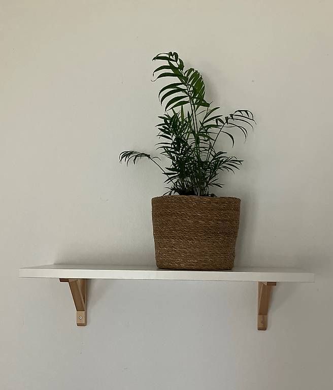 Étagères: Regal 80cm x 30cm – D'occasion à Basel par ced_kdr7