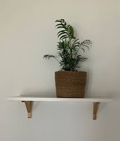 Regal 80cm x 30cm